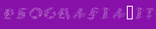 CalliPsoGrafia-Italic.ttf