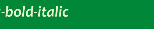Candara-Bold-Italic.ttf