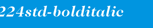 Caslon224Std-BoldItalic.otf