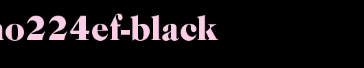 CaslonNo224EF-Black.otf
