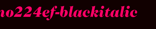CaslonNo224EF-BlackItalic.otf