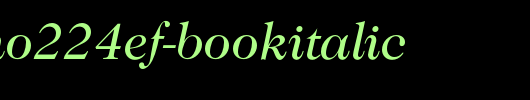 CaslonNo224EF-BookItalic.otf