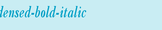 CasqueCondensed-Bold-Italic.ttf