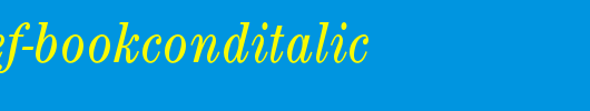CenturyEF-BookCondItalic.otf