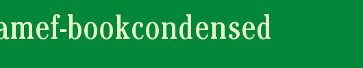 CheltenhamEF-BookCondensed.otf