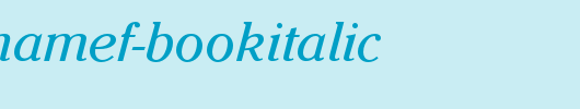 CheltenhamEF-BookItalic.otf