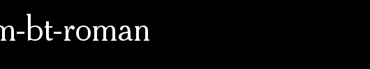 Cheltenhm-BT-Roman.ttf