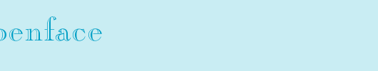 ChopinOpenFace.ttf