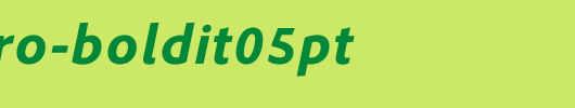 CleanPro-BoldIt05pt.otf