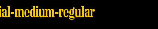 ColonelSerial-Medium-Regular.ttf