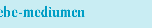 ConcordeBE-MediumCn.otf