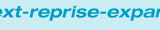 Context-Reprise-Expanded-SSi-Bold-Expanded-Italic.ttf