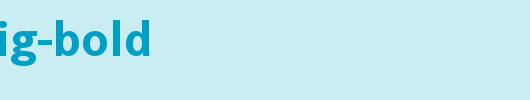 CorpoSLig-Bold.ttf