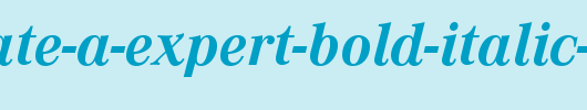 Corporate-A-Expert-Bold-Italic-OsF.ttf