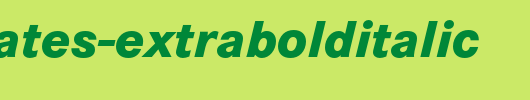 CorporateS-ExtraBoldItalic.otf