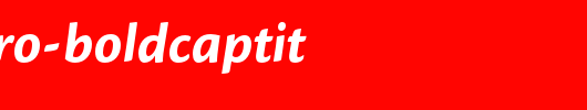 CronosPro-BoldCaptIt.otf