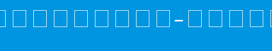 CyrillicTimes-Italic.ttf