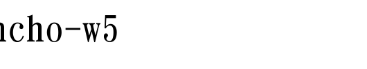 DFHSMincho-W5_日文字体