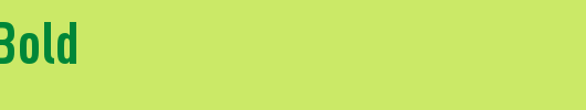 DINCond-Bold_英文字体
