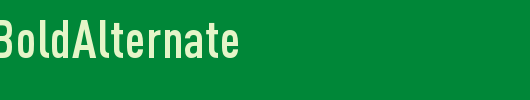 DINCond-BoldAlternate_英文字体