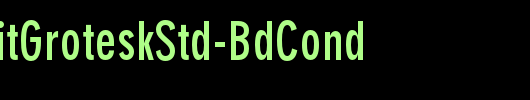 DINNeuzeitGroteskStd-BdCond_英文字体