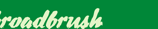 DS-BroadBrush.ttf