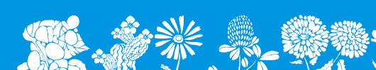 DT-Flowers-1.ttf