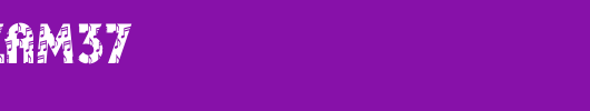 DTCPlazaM37.ttf
