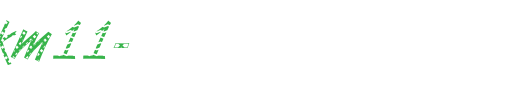 DTCVanDijkM11-.ttf