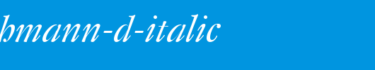 DTL-Fleischmann-D-Italic.ttf