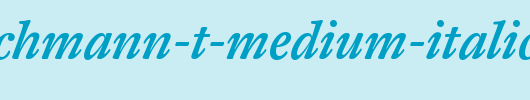 DTL-Fleischmann-T-Medium-Italic.ttf