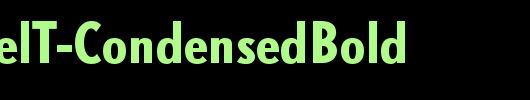 DTLNobelT-CondensedBold_英文字体