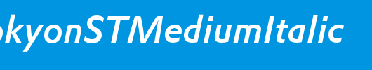 DTLProkyonSTMediumItalic_英文字体