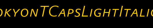 DTLProkyonTCapsLightItalic_英文字体