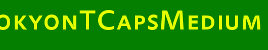 DTLProkyonTCapsMedium_英文字体