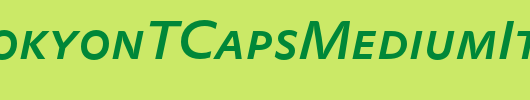 DTLProkyonTCapsMediumItalic_英文字体