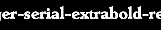 Derringer-Serial-ExtraBold-Regular.ttf