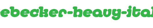 DesireeBecker-Heavy-Italic.ttf