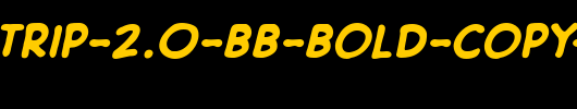 DigitalStrip-2.0-BB-Bold-copy-1-.ttf