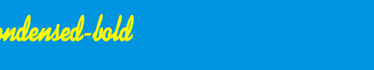 DinerScriptCondensed-Bold.ttf