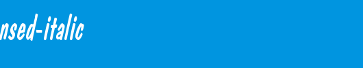 DonCasualCondensed-Italic.ttf