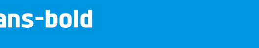 Dyno-Sans-Bold.ttf