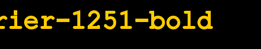 ER-Kurier-1251-Bold.ttf