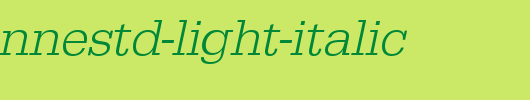 EgyptienneStd-Light-Italic.ttf