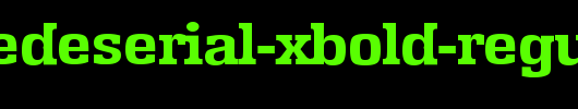 EnschedeSerial-Xbold-Regular.ttf