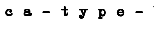 Erica-Type-Bold-Italic.ttf