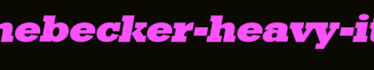 EugeneBecker-Heavy-Italic.ttf