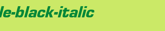 Eurostile-Black-Italic.ttf