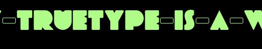 Every-Truetype-is-a-Wisefont-3.0.ttf