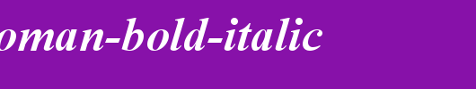 Eylem-Roman-Bold-Italic.ttf